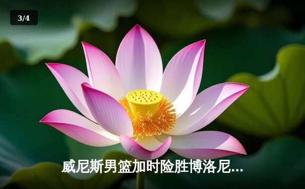威尼斯男篮加时险胜博洛尼亚，豪取联赛五连胜 - 3